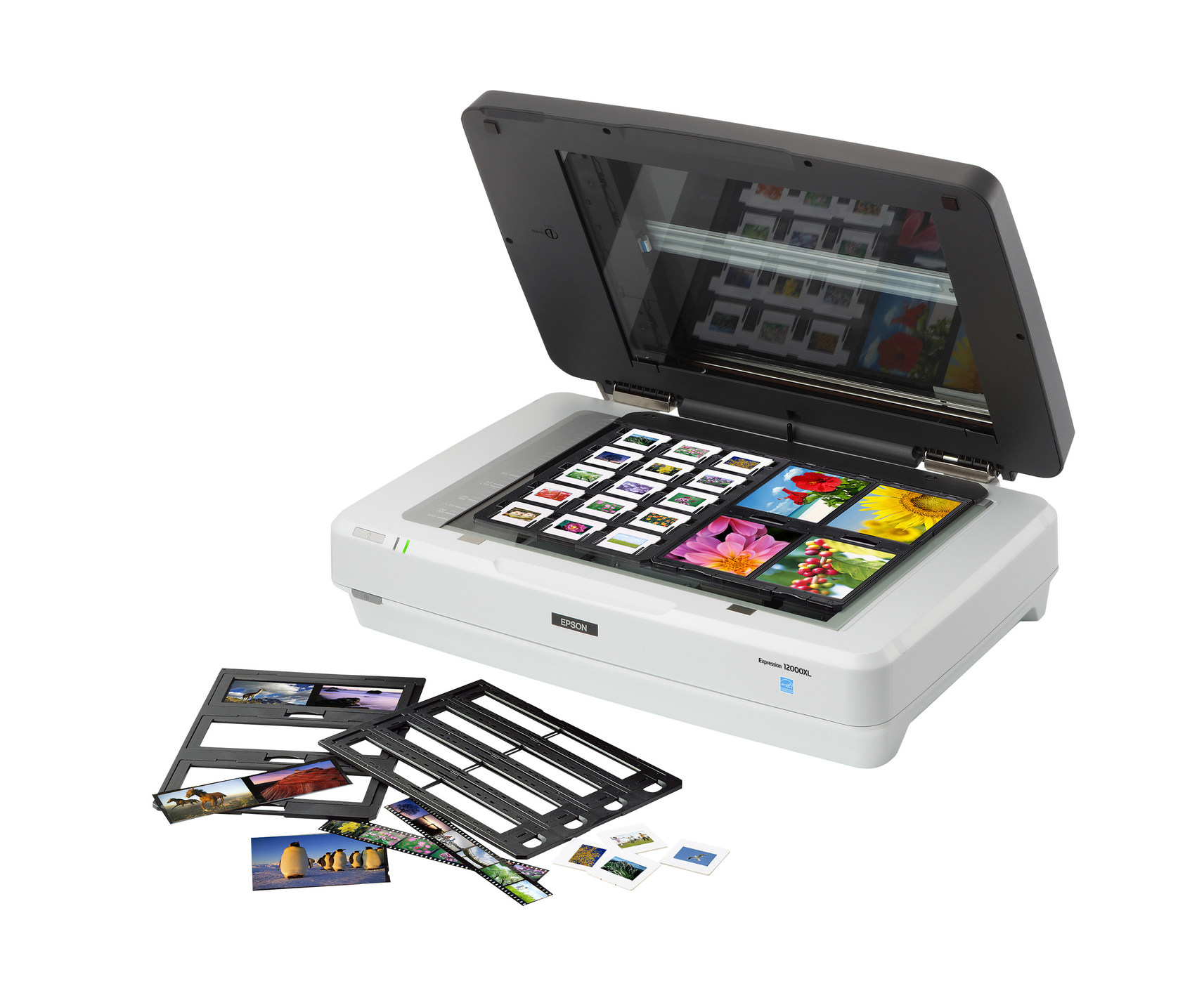 Epson Debuts New LargeFormat Scanner for Graphic Artists and Pro