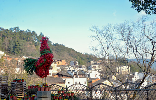 China's most beautiful countryside, Huangling, has just unveiled a gigantic rooster installation created by local villagers with fiery red chili peppers.