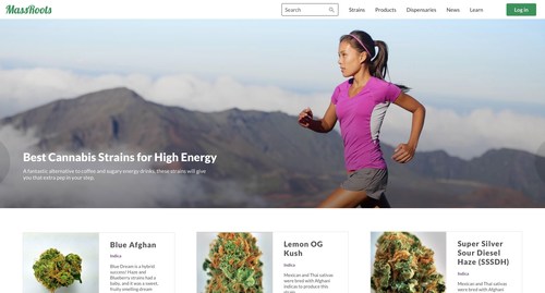 MassRoots to Release Revamped Website in Anticipation of Annual 4/20 Traffic Surge
