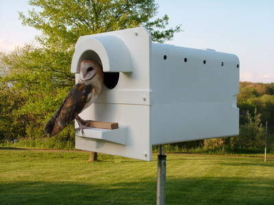 The Birds And The Bees: The Barn Owl Box Company Creates Innovative ...