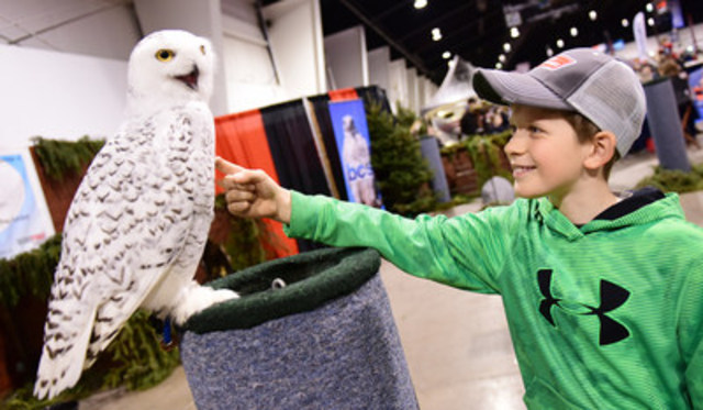 Logan Toupin of Bancroft, ON gets a bird’s eye view with snowy owl, Tiquak, at The 70th annual Toronto Sportsmen’s Show. Hosted at The International Centre, the show runs until Sunday, March 19th. (CNW Group/Toronto Sportsmen's Show)