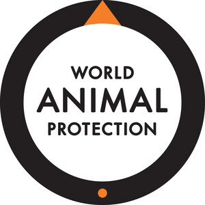 World Animal Protection applauds commitment by Burger King and Tim Hortons to improve chicken welfare by 2024
