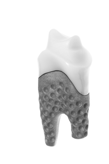 Milled REPLICATE Tooth, commercially available
