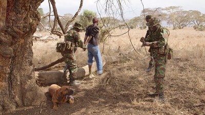 Daily training to intercept poachers at Lewa Conservancy.