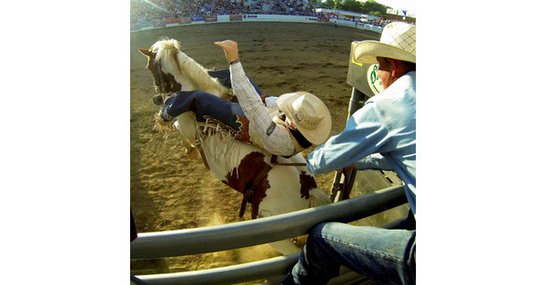 Spring Is all the Rage in Redding, CA: Take the Whiskeytown Waterfall ...