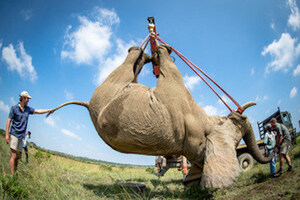 Over and Above Africa Brings Global Supporters to the Front Lines of the Fight to End Poaching of Endangered Animals