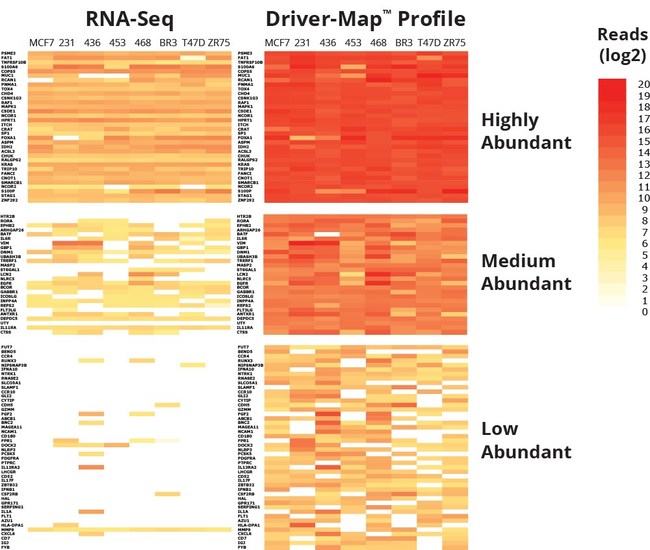 The Driver-Map(TM) assay provides up to 100x greater sensitivity than RNA-Seq allowing for a higher resolution view of the low-and medium-abundant genes in the sample.