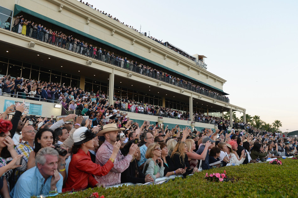 The World's Richest Thoroughbred Horse Race Comes Back To Miami