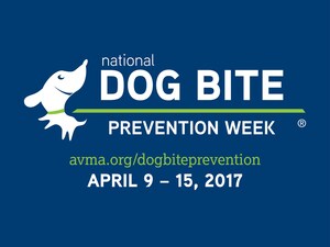 AVMA behavior expert demonstrates top ways to keep children and community members free from dog bites