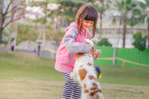 American Humane Offers Tips to Stay Safe During National Dog Bite Prevention Week® (April 9 -15) and All Year Round