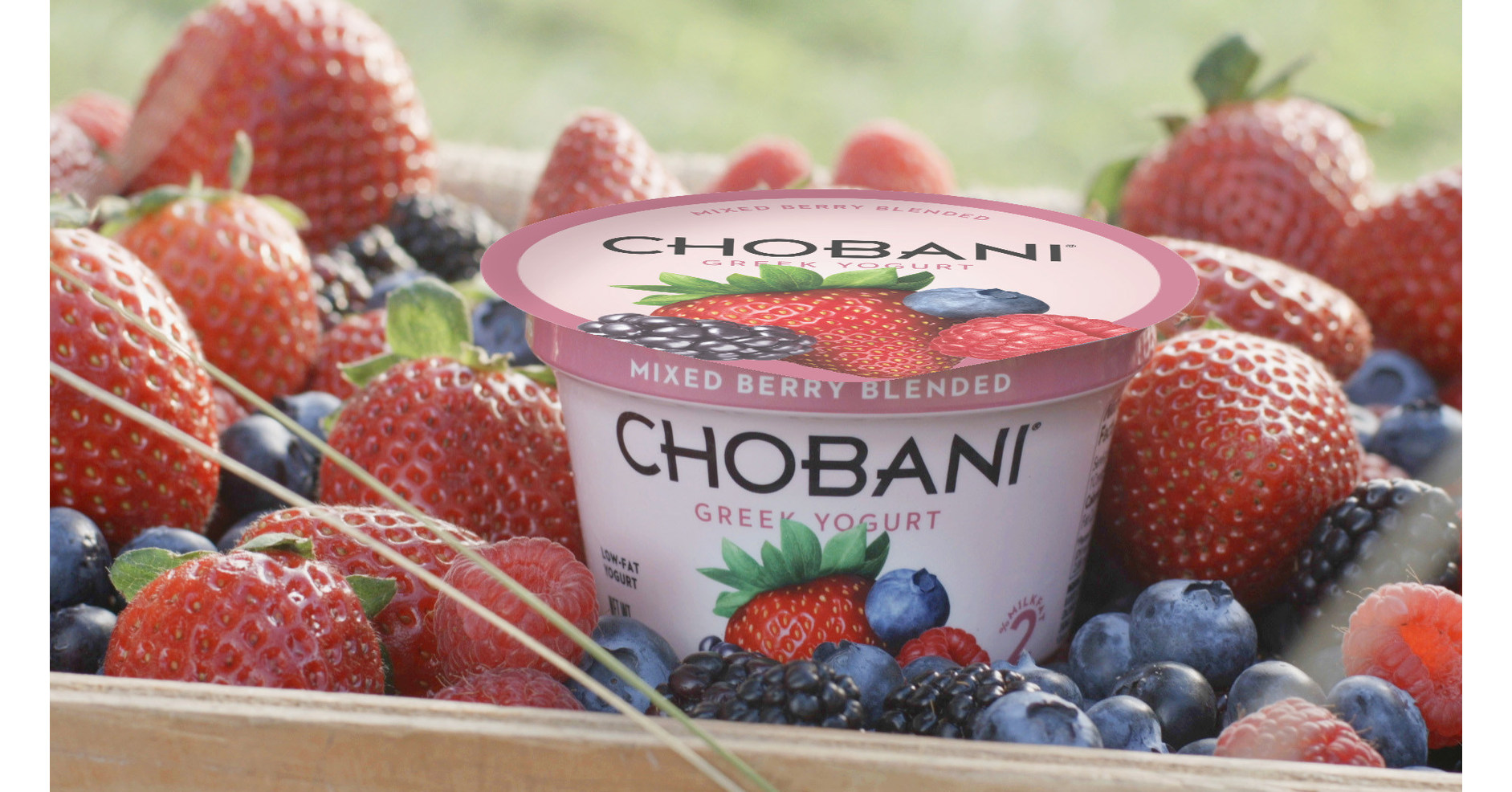 New food. Chobani. Йогурт Horizon Organic. Chobani Shner. Chobani LLC.