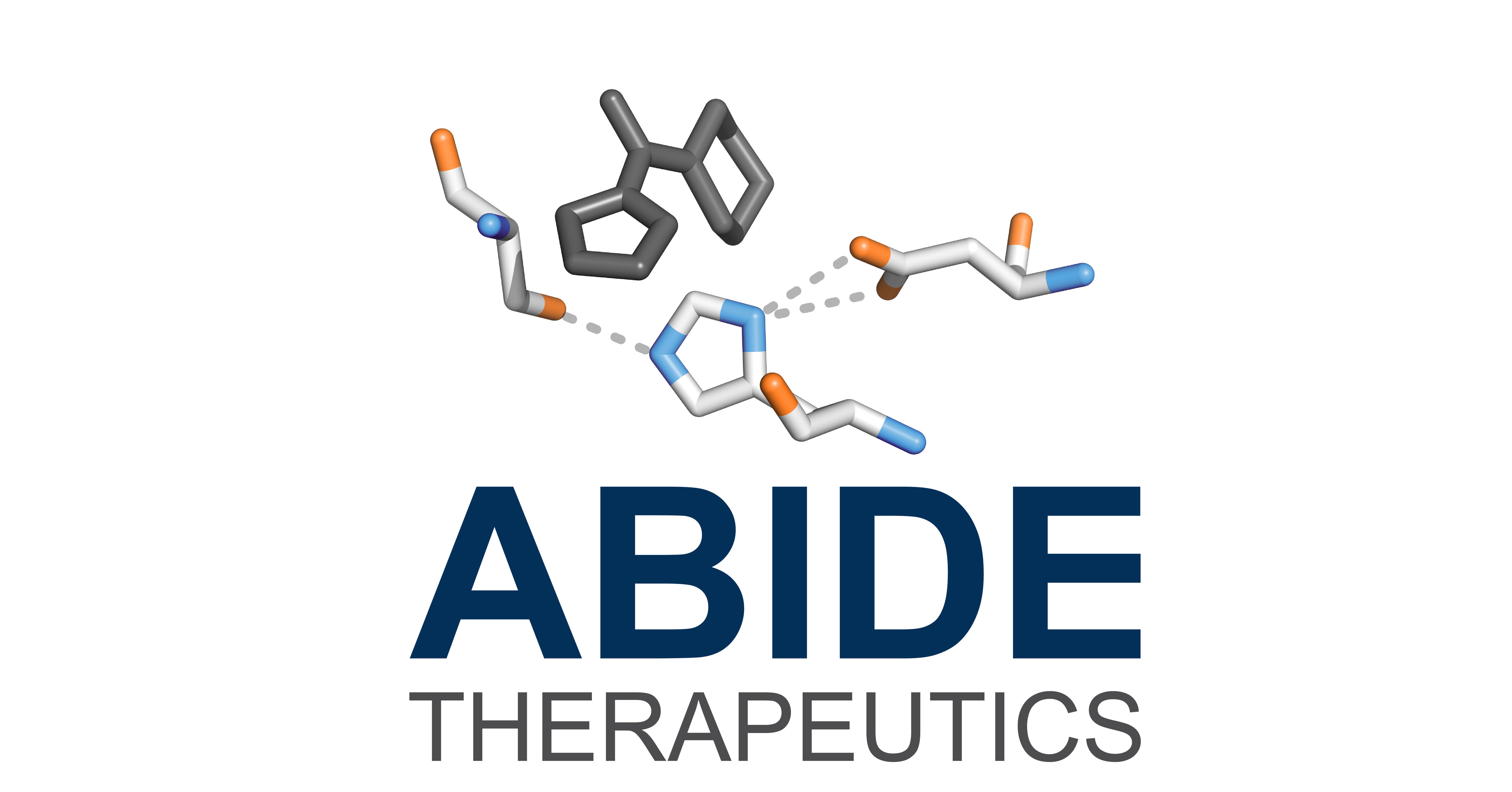 What Is The Abide Program