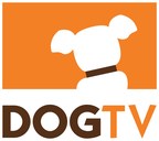 Happy Tails: DOGTV's "Adoption Show" Sees Inspiring Success as Adopted Shelter Dogs From Across the U.S. Get New Start