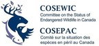 Le Comité sur la situation des espèces en péril au Canada (COSEPAC) se réunira à Whitehorse, au Yukon, du 23 au 28 avril 2017