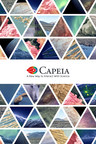 Launch of the Science Platform Capeia