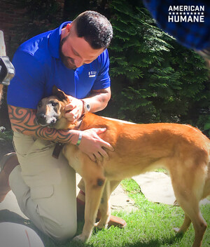 Military Dog Reunited with Former Air Force Handler After Three Years Apart