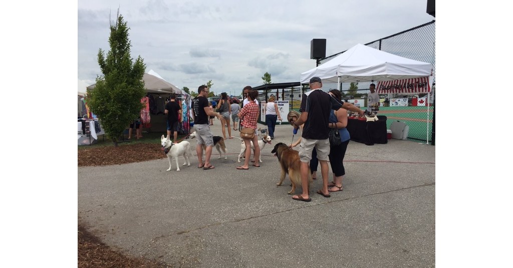 Bringing Your Dog to a Pet Expo? Think Twice