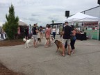 Bringing Your Dog to a Pet Expo? Think Twice