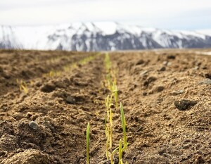 Cascade Milling/Cascade Organic Flour Receives Safe Quality Food (SQF) Certification