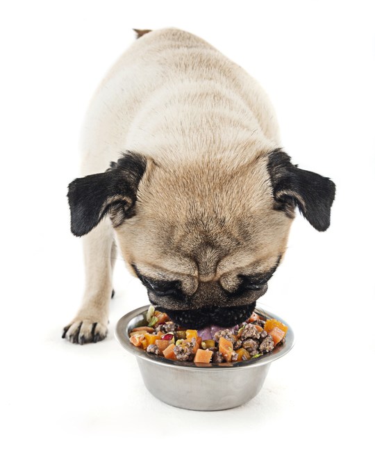 L Catterton to pick up minority stake in pet-food company Drools for $60  million