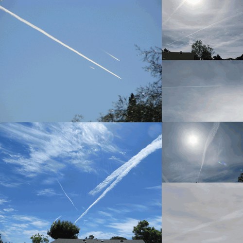 Upper Left: Three jets in the same physical environment, two showing contrails which quickly disappear by evaporation, one showing a lengthy particulate trail across the sky instead of a quickly evaporating contrail. Lower Left: Two jets spraying trails in the same physical environment, but one stopped spraying. This is not contrail behavior. Right Top to Bottom: Photos taken on days devoid of natural clouds showing jet-laid particulate haze in the San Diego, California sky.