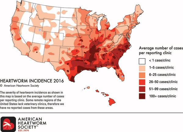 This map, which is based on a survey of veterinarians and shelters nationwide from the 2016 calendar year, shows the incidence of heartworm disease in the U.S.
