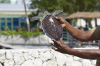 World Animal Protection calls on Carnival Cruise Lines to stop sending tourists to cruel sea turtle attraction