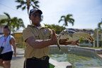 Carnival Cruise Lines Turns a Blind Eye to Cruel Sea Turtle Attraction