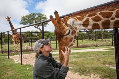 Marketing director and animal specialist Tiffany Soechting and Buddy the Giraffe of Natural Bridge Wildlife Ranch