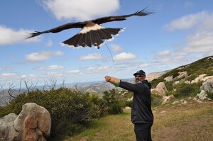 For the Birds: Wounded Warrior Project Veterans Empowered at Falconry Event