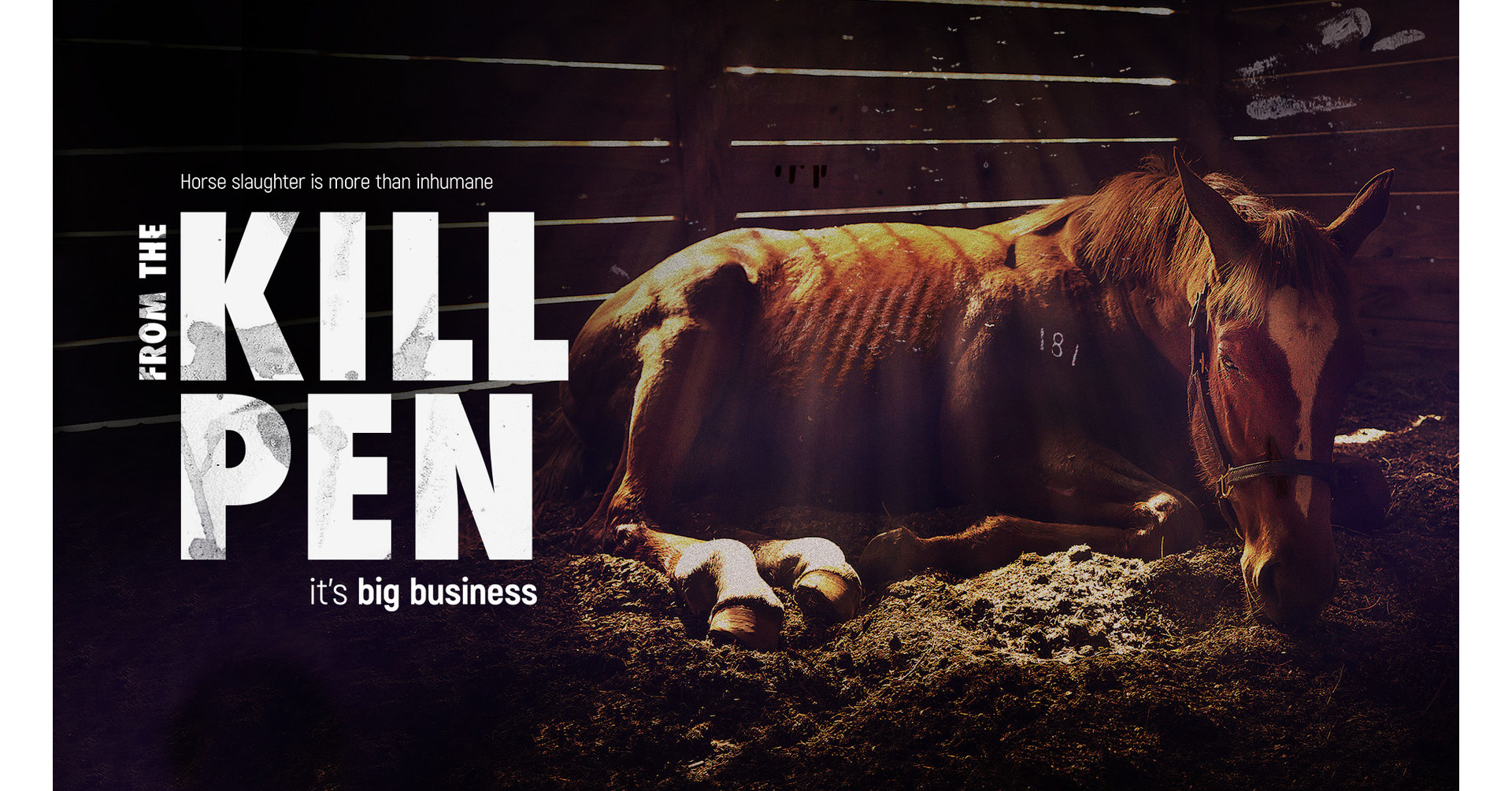 Award-Winning Documentary â€™From the Kill Pen;â€™ Exposing the Horse