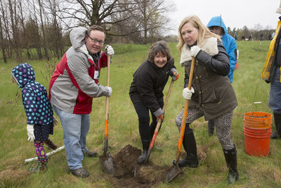 In Cambridge, Brian May, MP for Cambridge; the Honourable Kathryn McGarry, Ontario Minister of Natural Resources and Forestry and MPP for Cambridge; and Helen Jowett, Chair, Grand River Conservation Authority, (left to right) get their hands dirty planting a butternut tree. (CNW Group/Forests Ontario)