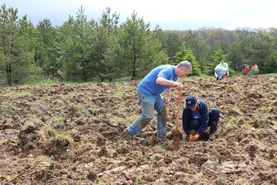 S&T Bank, a full-service financial institution with assets of $7.1 billion, and locations in Pennsylvania, Ohio, and New York, pledges to donate a portion of the seedlings to be planted during Plant a Tree at Flight 93, for the second consecutive year. The two-day volunteer event will take place at the Flight 93 National Memorial on May 19 and 20, 2017.
