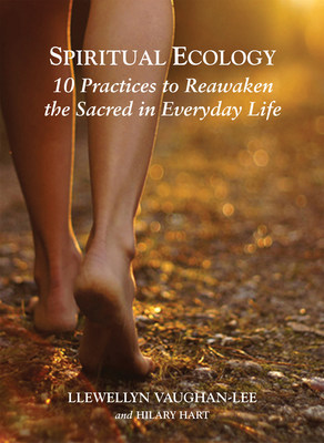 Spiritual Ecology: 10 Practices to Reawaken the Sacred in Everyday Life  Image