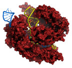 MilliporeSigma Develops Alternative CRISPR Genome Editing Method