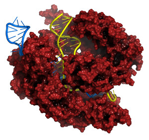 Merck élabore une méthode alternative de modification génétique CRISPR