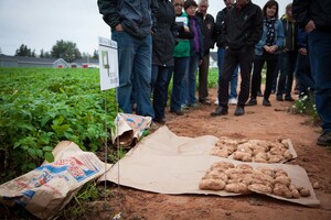 Mapping a Path to Sustainable Agriculture