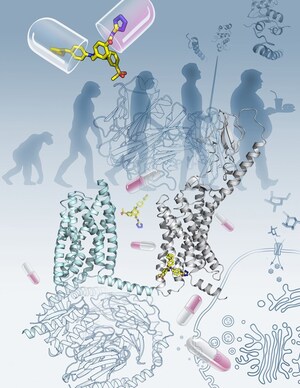 A first full-length class B GPCR crystal structure reveals novel receptor activation mechanisms