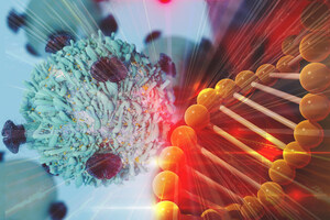 MultiVir Reports Gene Therapy Enhancement of Cancer Immunotherapy