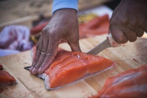 Alaska Air Cargo delivers 22,000 pounds of Copper River salmon to Seattle