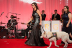 The Petco Foundation Honors Animal Welfare's Best In Show