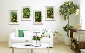 Zhejiang Nashou Presents Green Pet and a Living Wall Planter - bringing green into your home Zhejiang Nashou Presents Green Pet and a Living Wall Planter - bringing green into your home