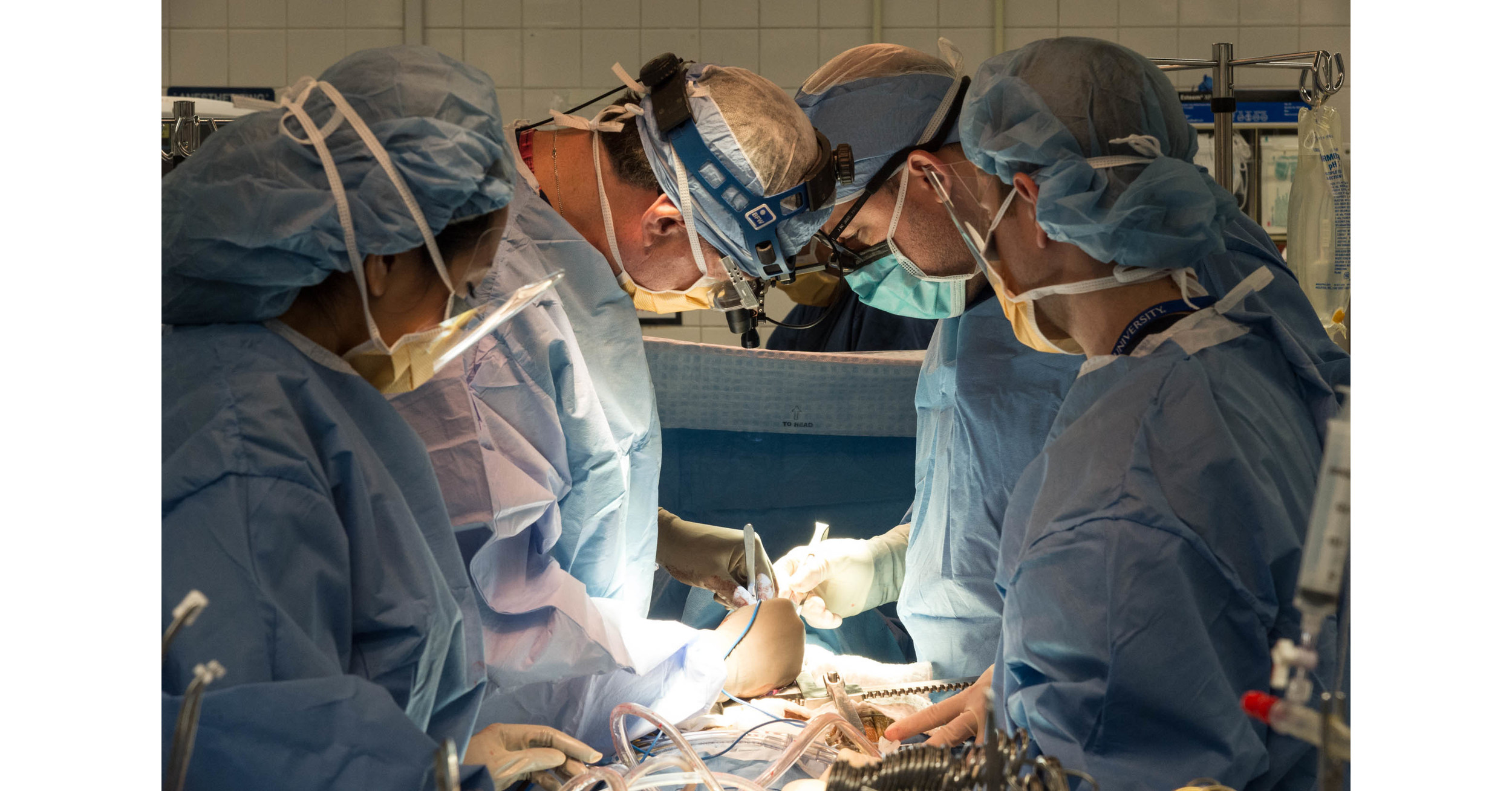 Sandra Atlas Bass Heart Hospital Earns Highest Quality Rating in ...