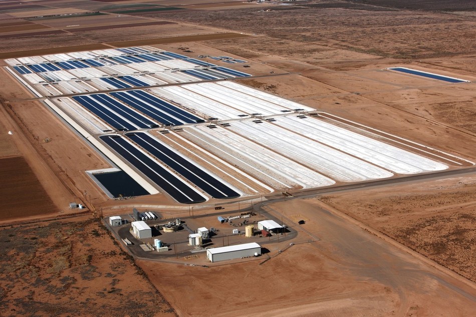 Qualitas Health Announces New Production Partnership to Triple Algae Production, Global