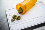 Weed in the Workplace: What Employers Should Know