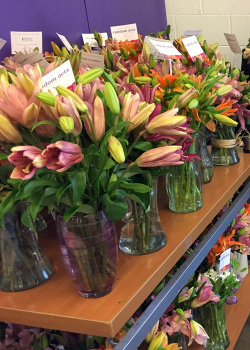ProFlowers and Sun Valley Floral Farms Partner to Donate Flowers to
