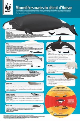 Le Guide pour les navigateurs du dtroit d'Hudson - Mammifres marins (Groupe CNW/Fonds mondial pour la nature (WWF-Canada))