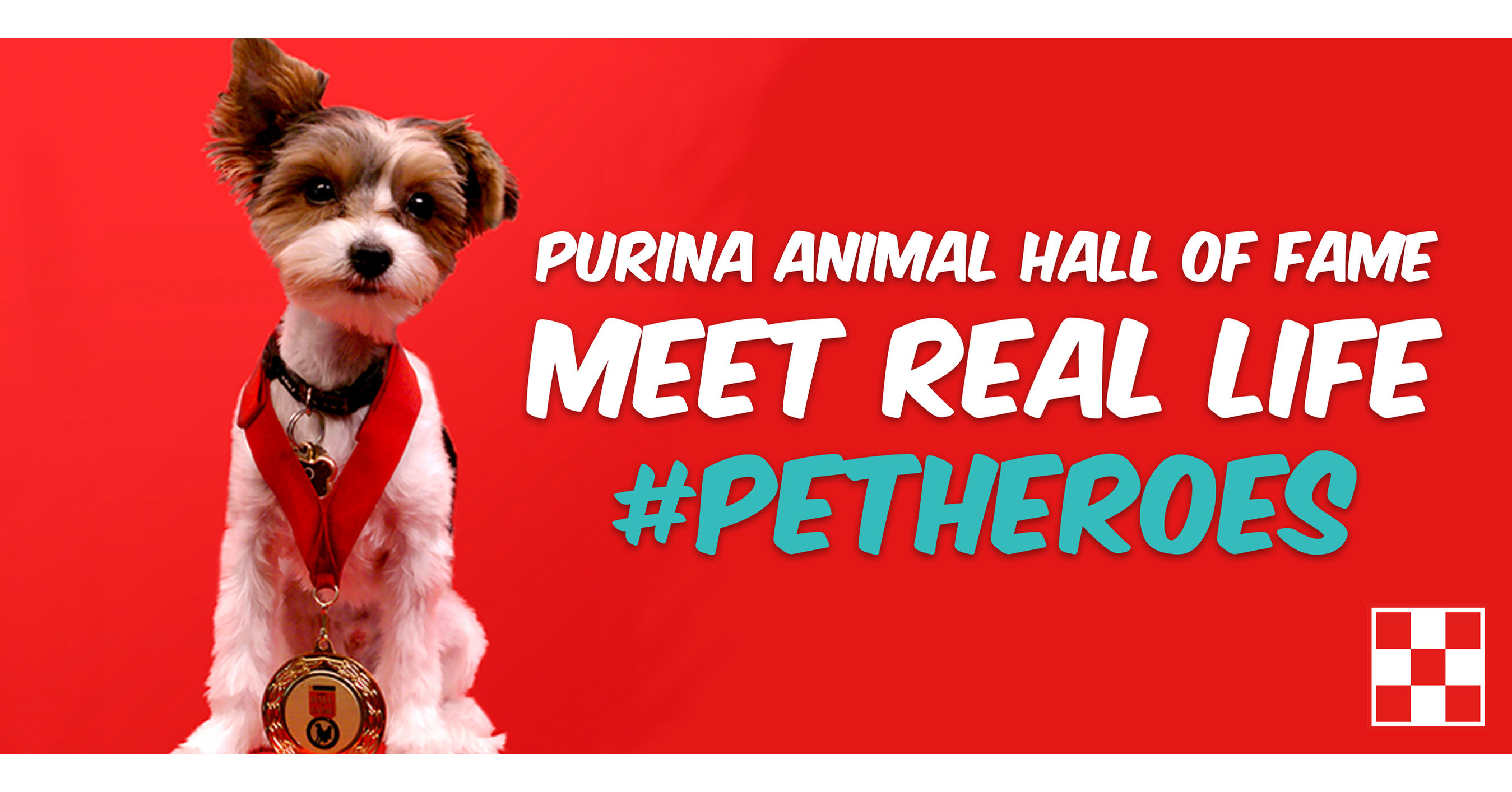 Canadian Canines Crowned For Saving Lives