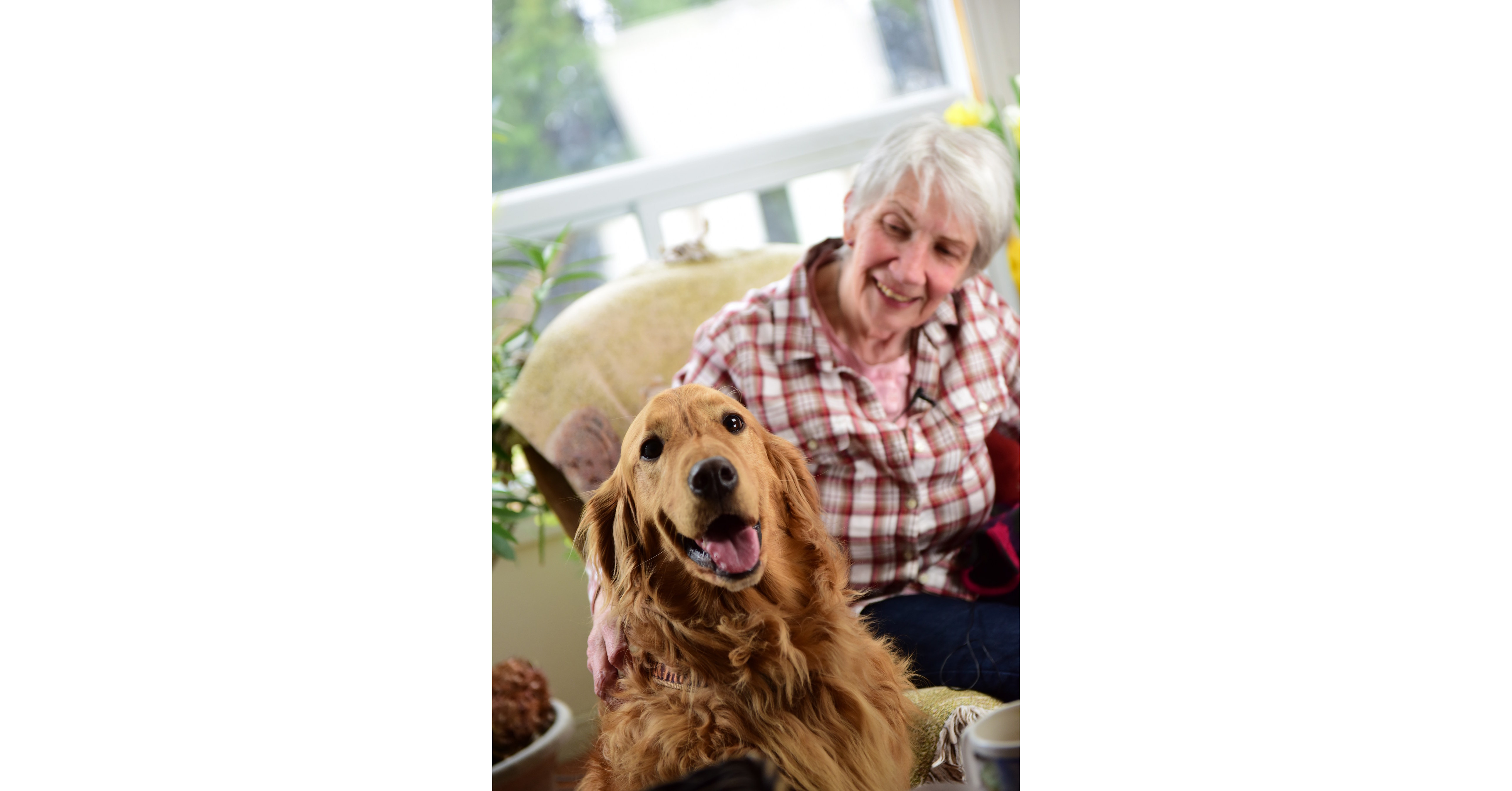 Canadian Canines Crowned For Saving Lives