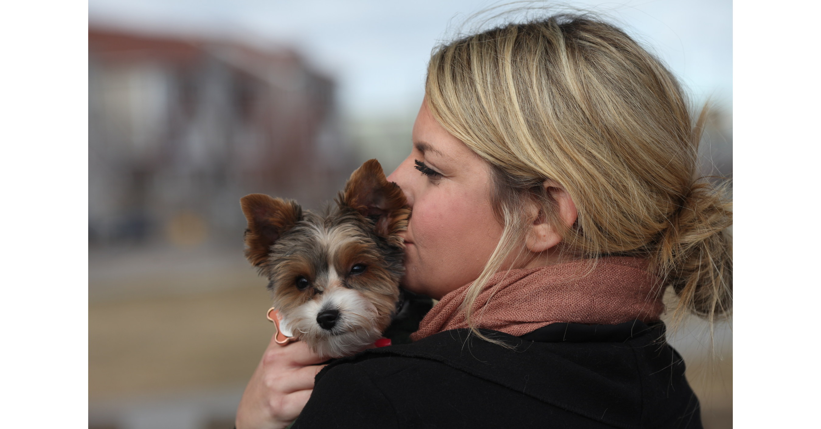 Canadian Canines Crowned For Saving Lives